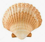 image-20230326161358434